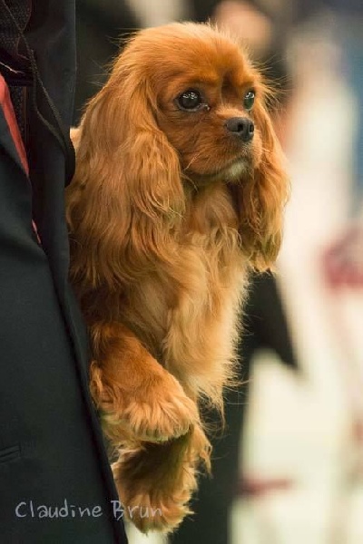 Imagine Des Précieuses Pierres